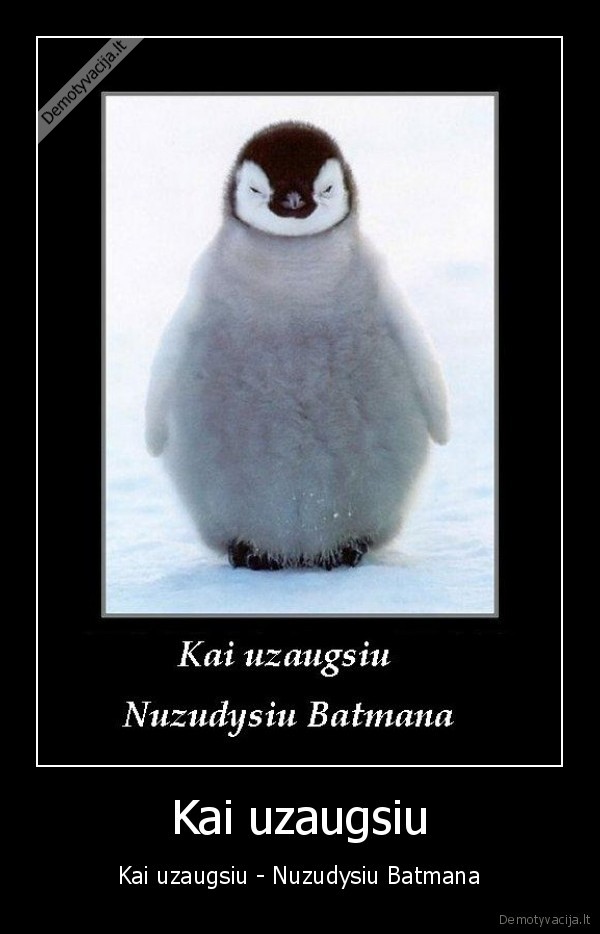 Kai uzaugsiu