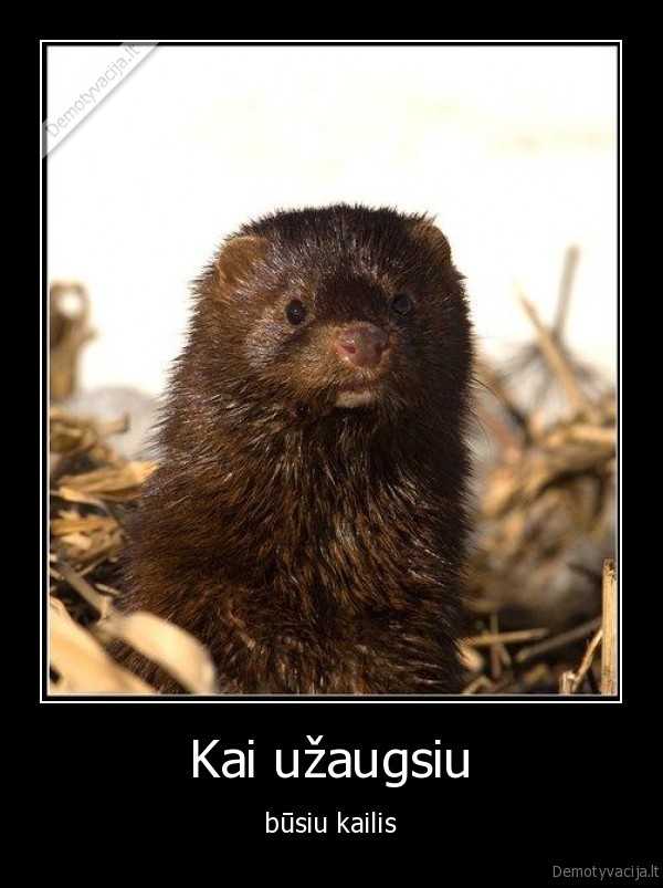 Kai užaugsiu