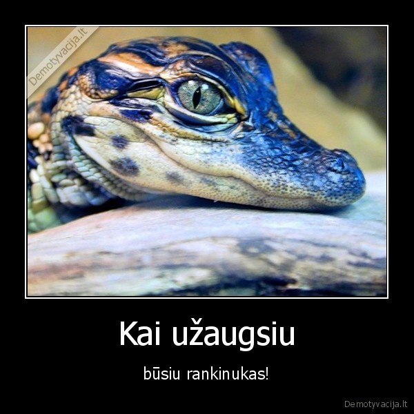 Kai užaugsiu