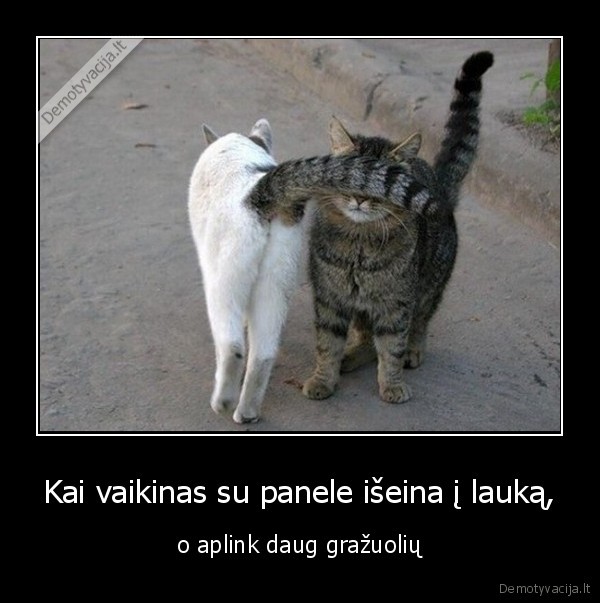 panele,vaikinas