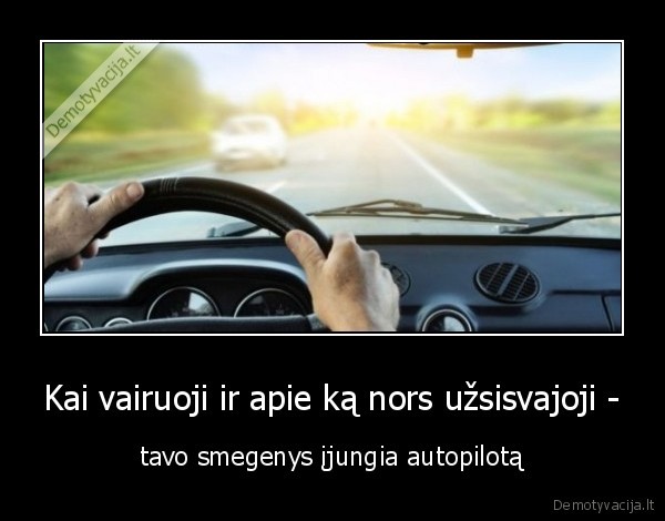 autopilotas,smegenys