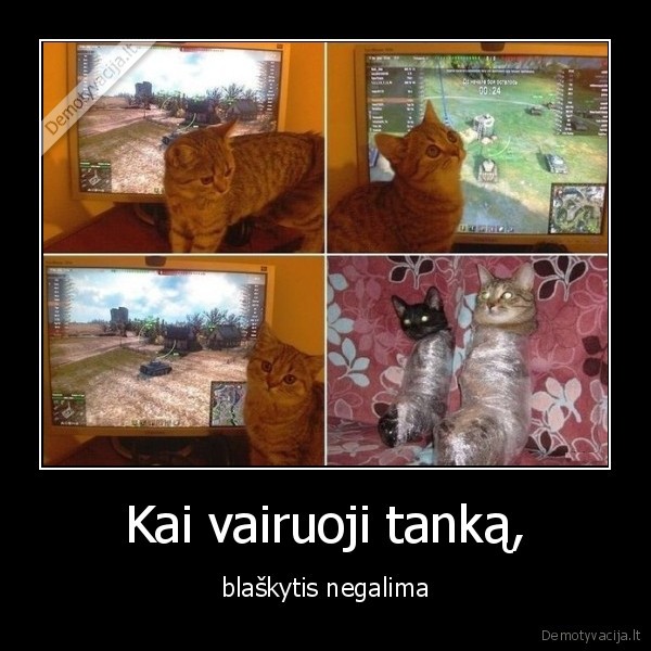 blaskytis,tankas