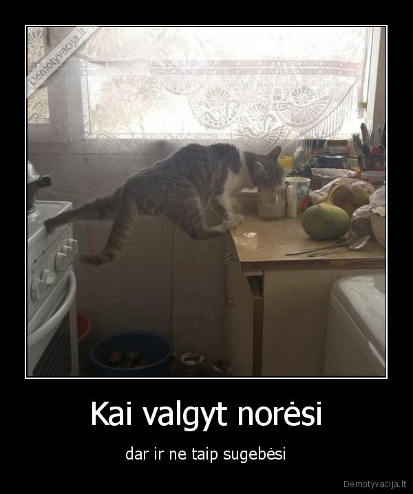 Kai valgyt norėsi