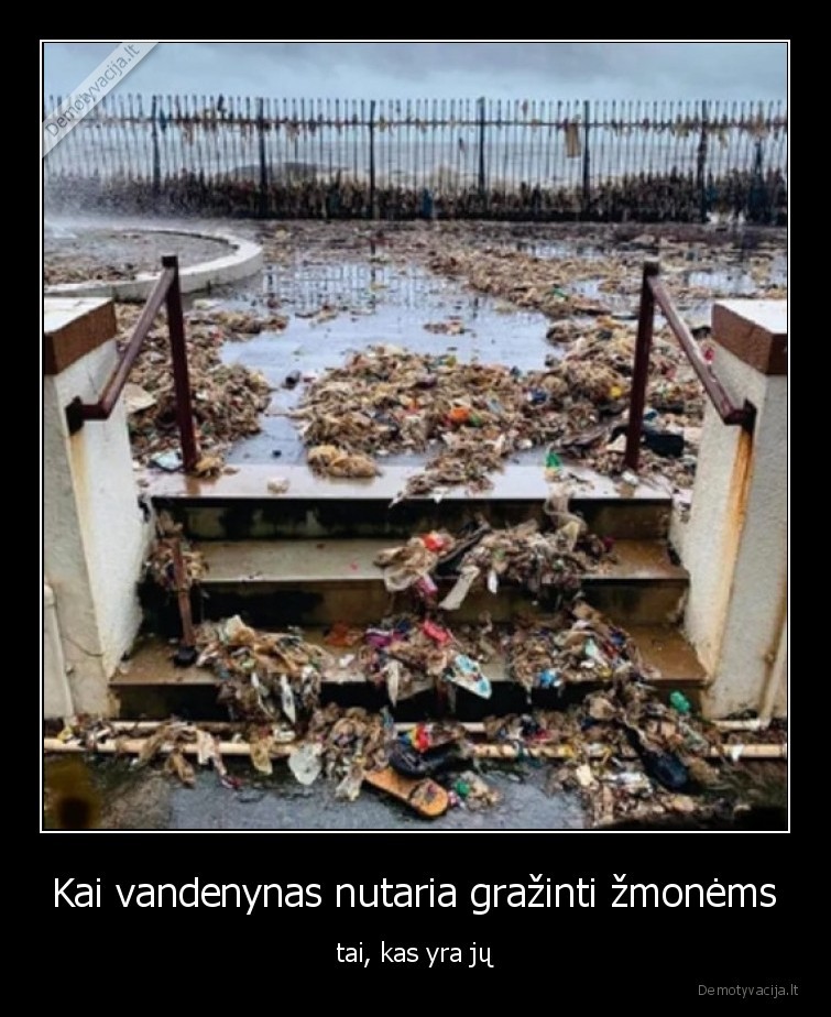 vandenynas,zmones,cashback