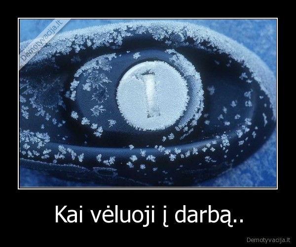 ziema,darbas,spyna