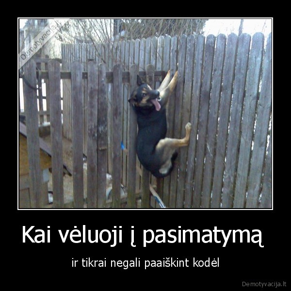 suo,tvora