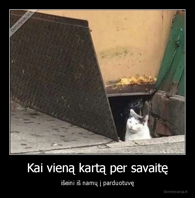 karantinas,parduotuve,namai