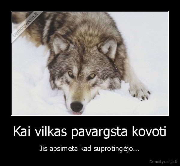 Kai vilkas pavargsta kovoti