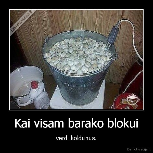 barakas,studentai,koldunai