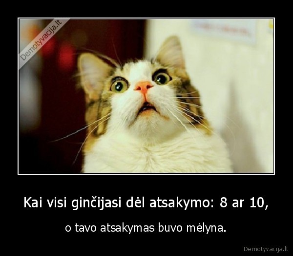 egzaminas,sesija,atsakymas,kate,katinas