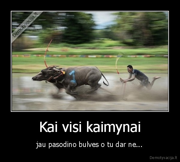 Kai visi kaimynai