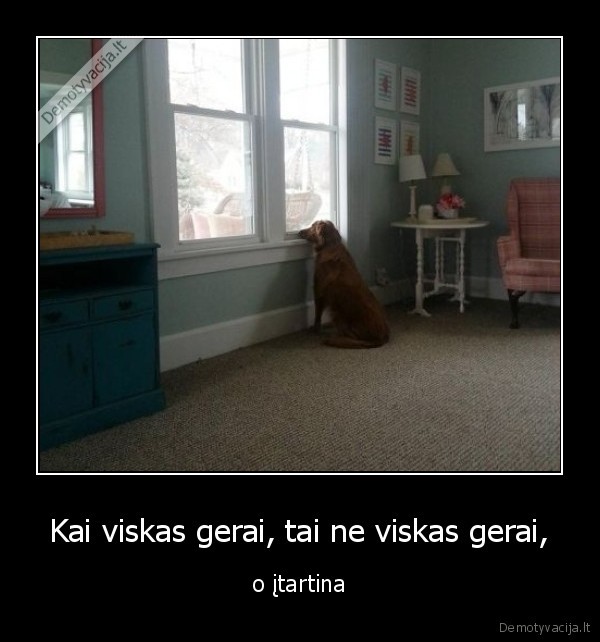 viskas, gerai,itartina