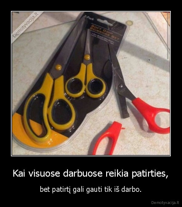 darbas,patirtis