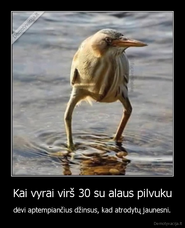 vyrai,dzinsai,pilvas