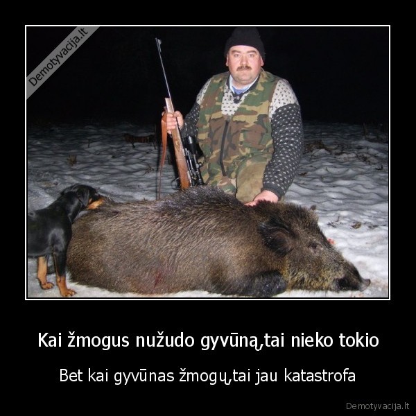 aisku,nekalbant,apie,ryklius