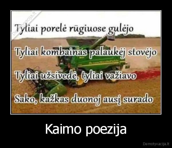 Kaimo poezija