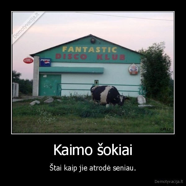 karve, tusinas