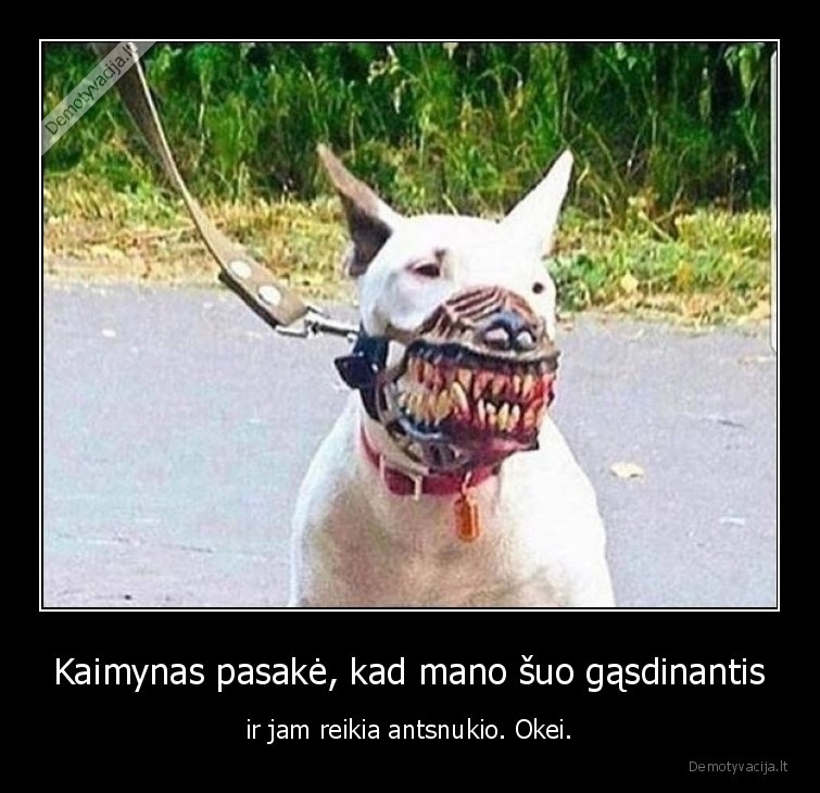 suo,anstnukis,baisus