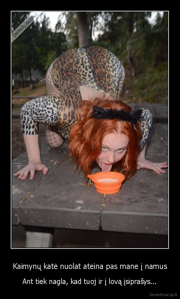 katyte