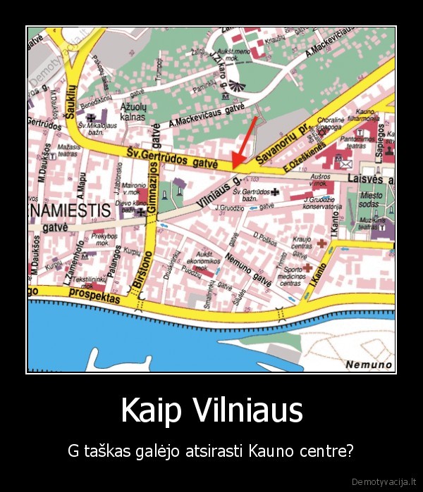 vilnius,kaunas,g, taskas