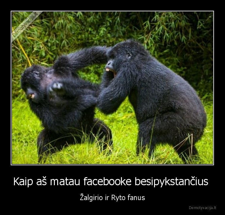 zalgiris, rytas, fanai, bezdzione