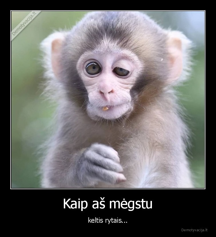 rytai,keltis