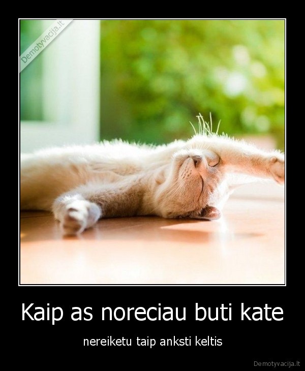 Kaip as noreciau buti kate
