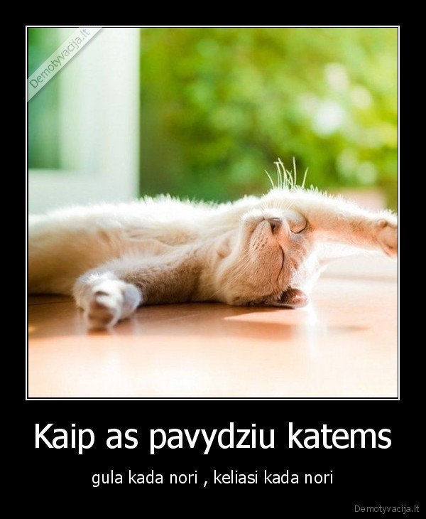 Kaip as pavydziu katems