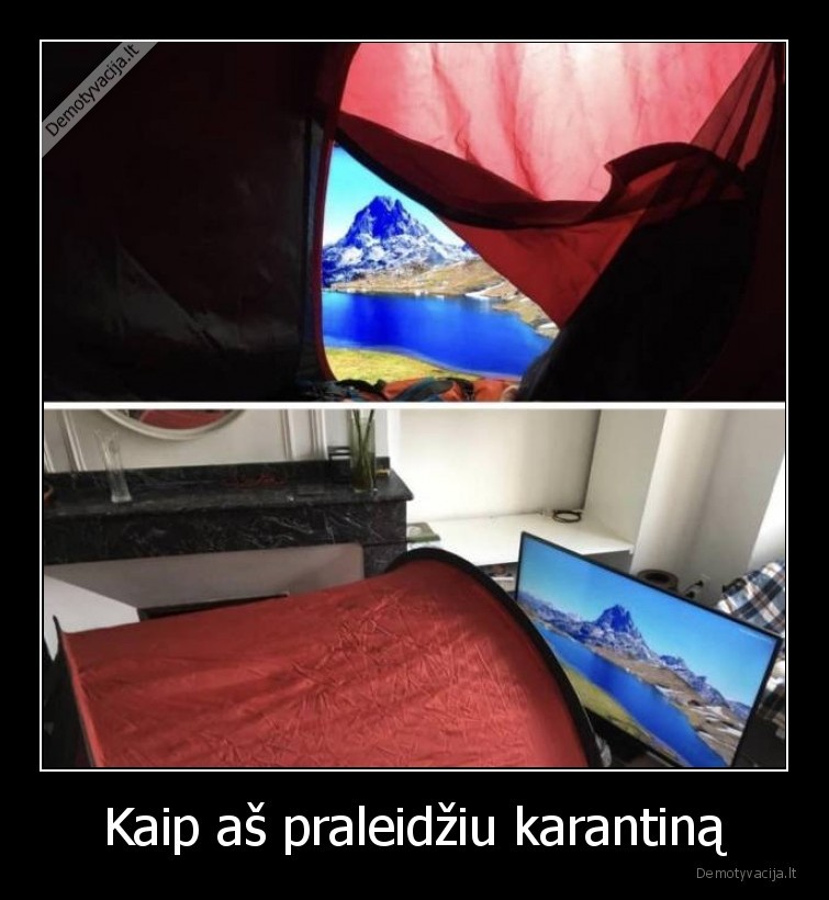 karantinas,palapine,gamta,kambarys