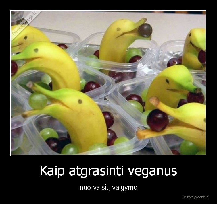 delfinai,vaisiai,veganai