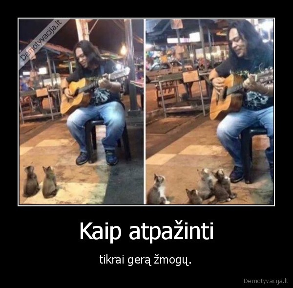 geras, zmogus,kaciukai,katinas,gitara,muzika