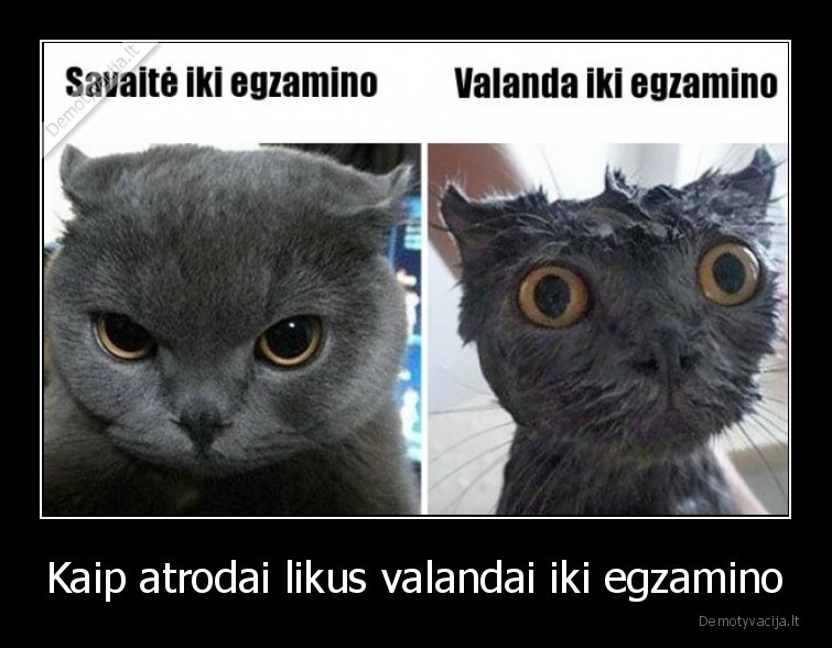 egzaminai,mokslai
