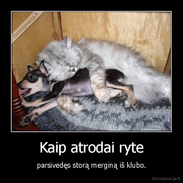mergina,klubas,rytas,kate,suo