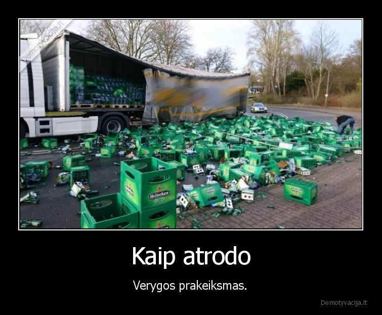 alus,veryga