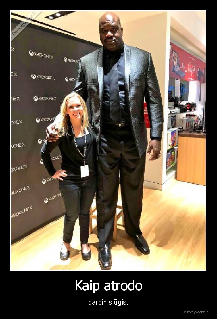 darbinis, ugis,ugis,shakas,shaq