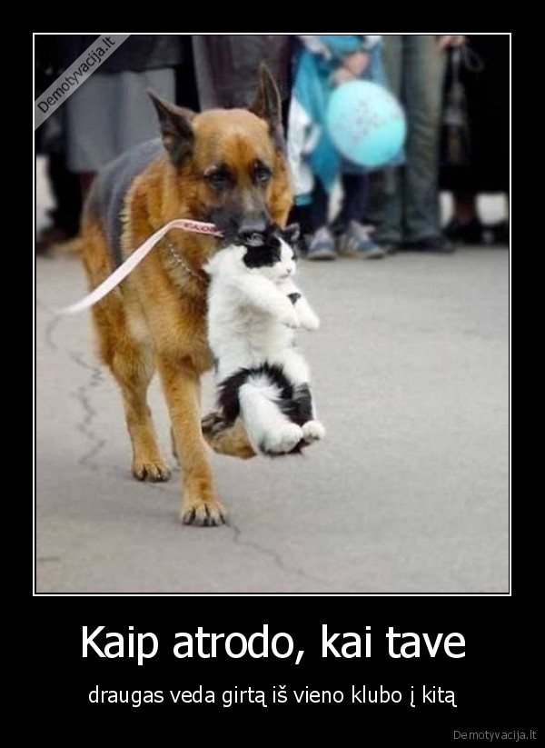 kate,suo,alkoholis,draugas