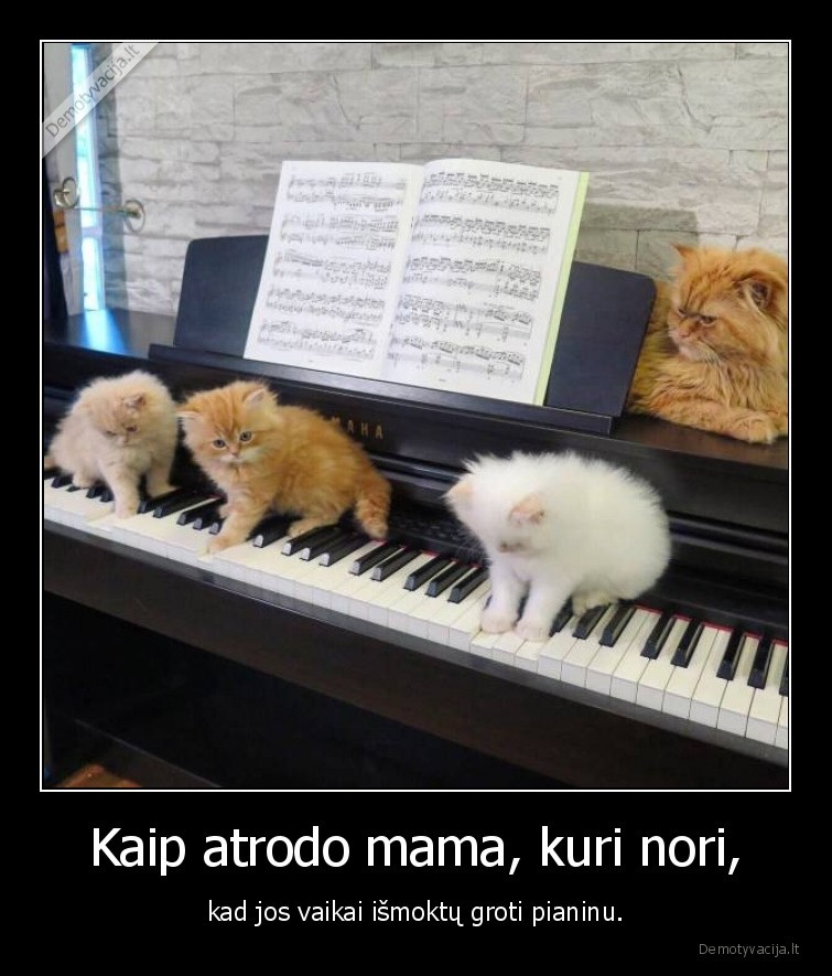 mama,kate,kaciukai