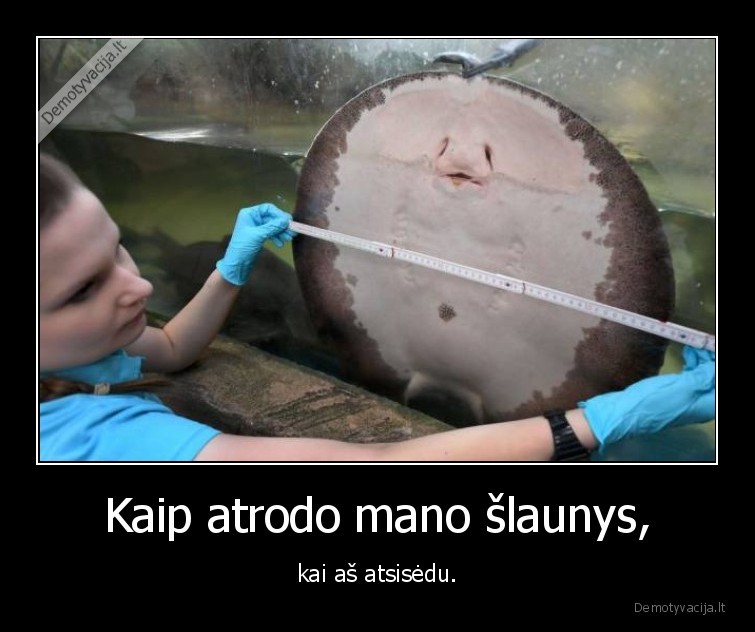 slaunys,raja