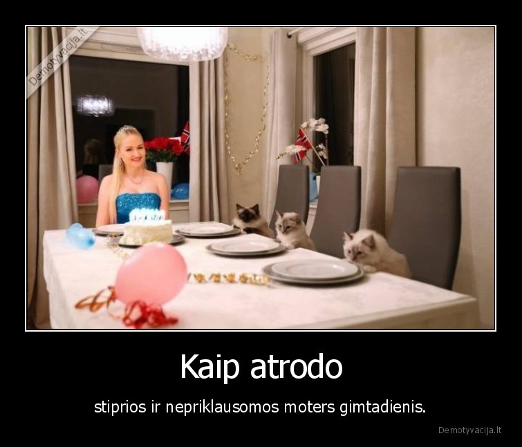 kate,katinas,gimtadienis,moteris