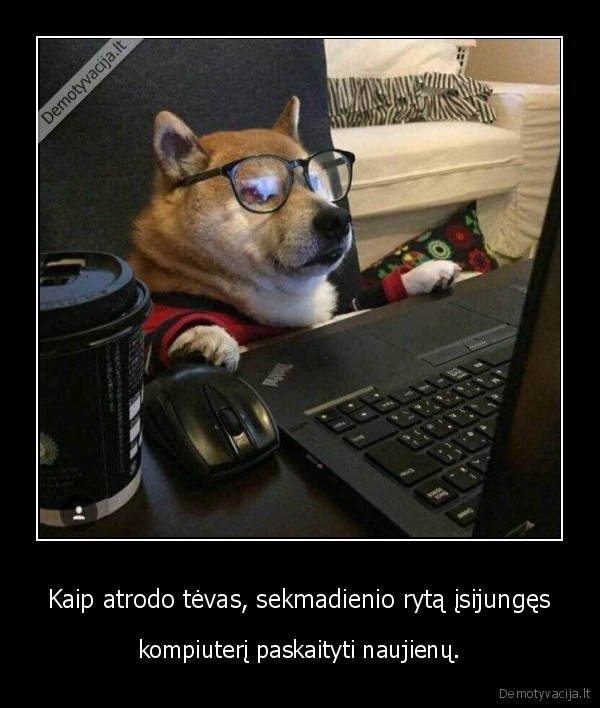 suo,tevas,naujienos,kompiuteris