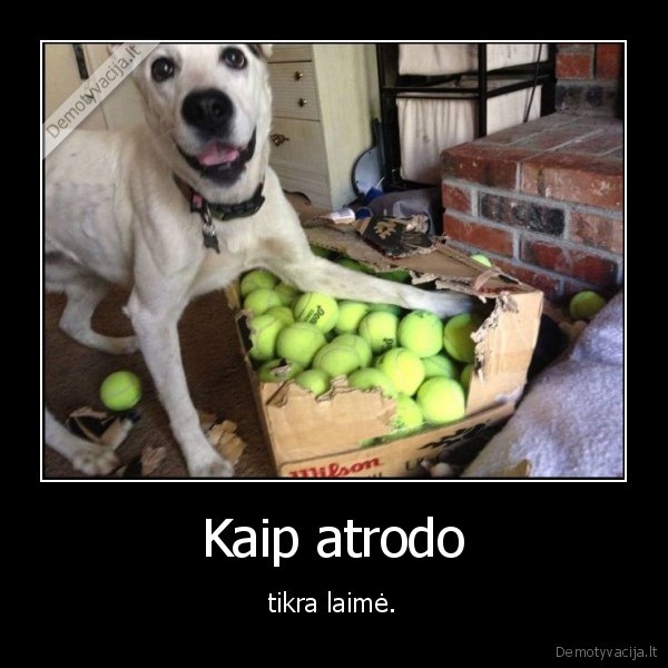 suo,laime,kamuoliai