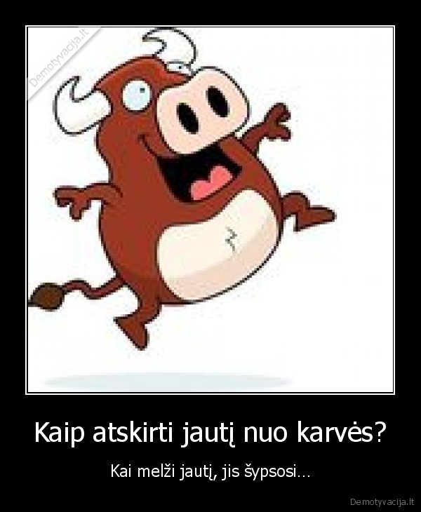 jautis,karve,skirtumai