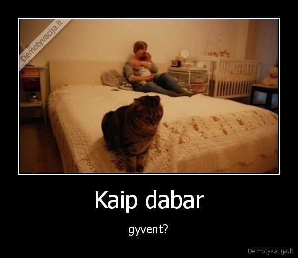 Kaip dabar