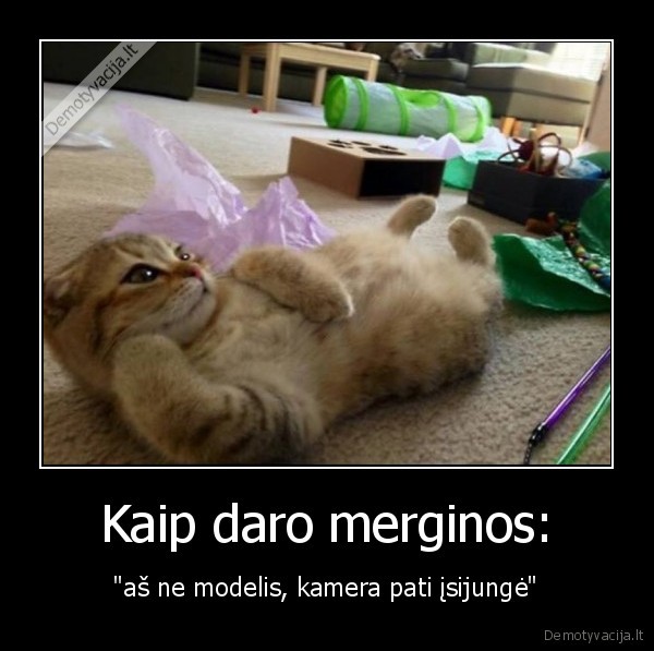 kate,katinas,mergina,modelis