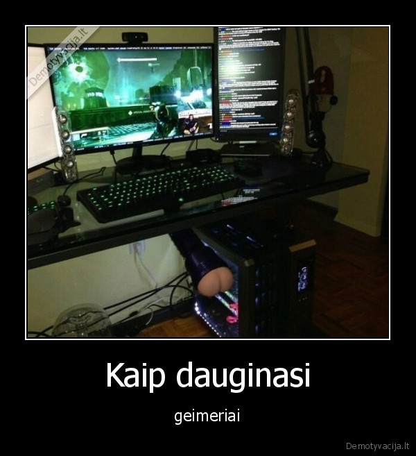 daugintis,zaidejai