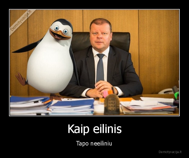 saulius, skvernelis,eilinis,madagaskaras,pingvinai