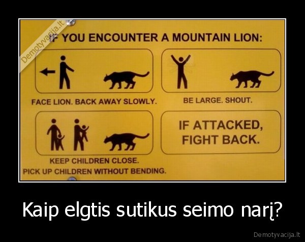 Kaip elgtis sutikus seimo narį?