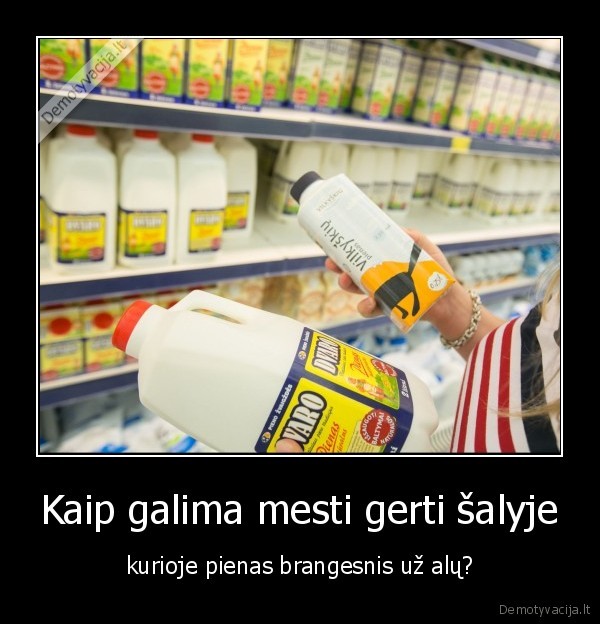 pieno, kaina,alus