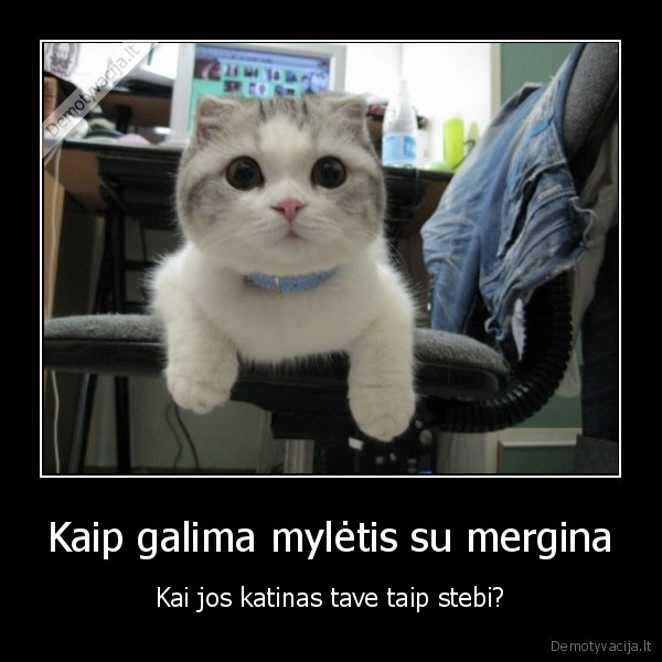 katinas,mielas, kaciukas,seksas