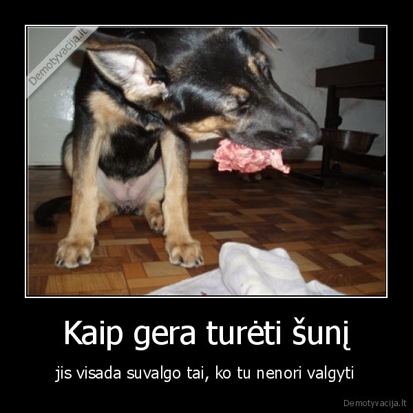 Kaip gera turėti šunį